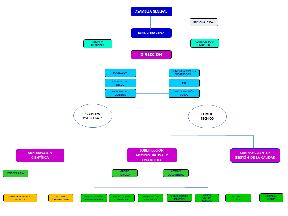 Estructura organizacional1